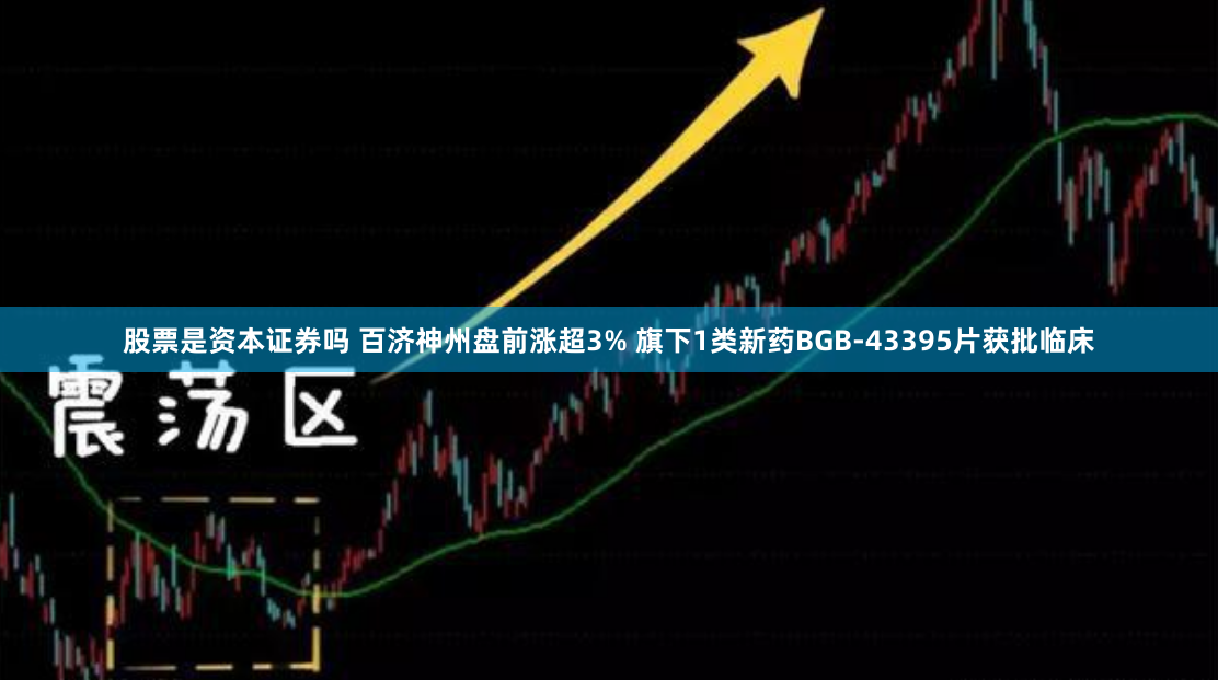 股票是资本证券吗 百济神州盘前涨超3% 旗下1类新药BGB-43395片获批临床
